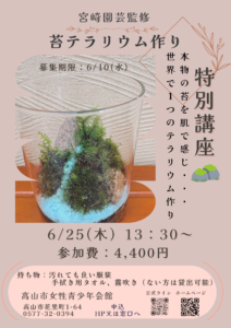 【特別講座】苔テラリウム作り
